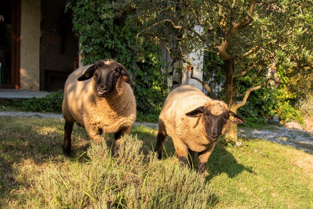 Agriturismo Cascina Costa Cassago Brianza Dış mekan fotoğraf